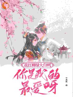 花红柳绿大白鸭，你是我的最爱呀快手热推丁离丁申成免费阅读