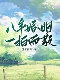 八年婚姻，一拍而散未删减阅读