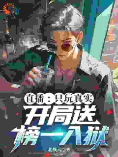 简言李力(原文完整)直播:只玩真实,开局送榜一入狱无弹窗免费阅读-暗夜阅读网