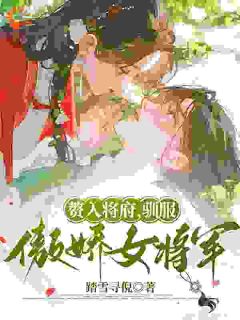 快手热文赘入将府，驯服傲娇女将军齐砚清韩妤小说推荐