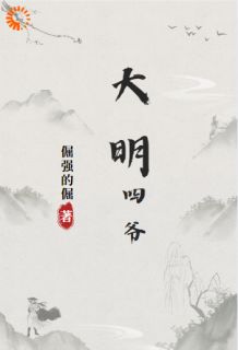 朱高爔朱棣小说大明四爷免费阅读