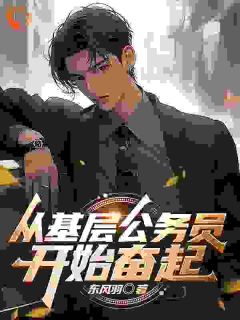 [抖音]小说刘峰陈娇从基层公务员开始奋起