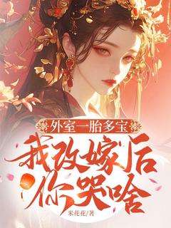 主人公赵福宝韩政在线免费试读外室一胎多宝,我改嫁后你哭啥最新章节列表-暗夜阅读网