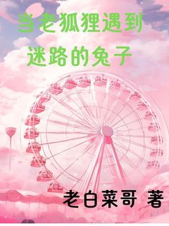 当老狐狸遇到迷路的兔子小说在线阅读，主角井俊宫倩精彩段落最新篇-暗夜阅读网