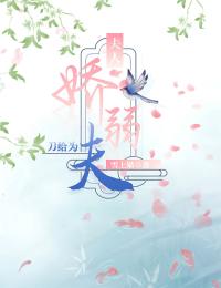 沈遥青贺彧小说哪里可以看 小说夫人娇弱，刀给为夫全文免费阅读