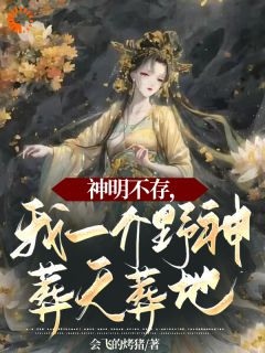 神明不存，我一介野神葬天葬地在线全文阅读-主人公苏千念王莽小说