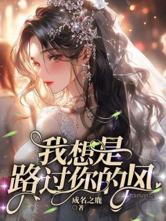 快手我想是路过你的风小说全本章节大结局