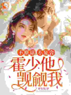 不原谅，不复合，霍少他觊觎我小说-苏眠秦云峥全篇阅读