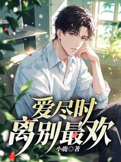 （全本）爱尽时，离别最欢主角江明远安婴柠全文目录畅读