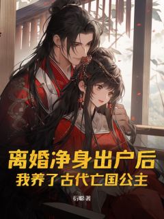 衍聪的小说离婚净身出户后,我养了古代亡国公主全文阅读-暗夜阅读网