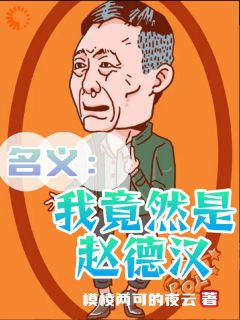 名义：我竟然是赵德汉小说(完结版)-赵德汉侯亮平在线阅读