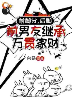 精彩小说前脚分，后脚前男友继承万贯家财时幼微林簇浪全章节在线阅读