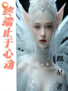 快手终端止于心动小说全本章节大结局