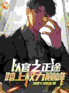 以官之正途，踏上权力巅峰精彩小说-以官之正途，踏上权力巅峰目录阅读