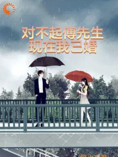 最完整版对不起，傅先生我现在已婚热门连载小说-暗夜阅读网
