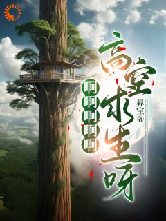 啊啊啊啊啊高空求生呀小说林悦韩唯一免费阅读