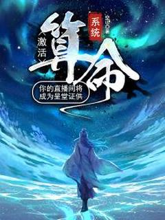 空山写的小说激活算命系统：你的直播间将成为呈堂证供林道刘兴业全文阅读-暗夜阅读网