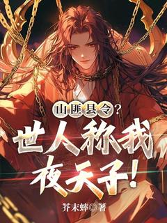 山匪县令？世人称我夜天子！免费阅读全文，主角陆元朱见光小说完整版