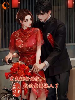 重生80新婚夜，我的老婆换人了小说免费阅读 李云龙方子婷大结局完整版