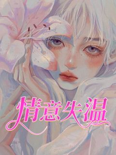 宋祈安夏晚全本章节在线阅读大结局