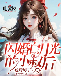 主角是顾念远岑寂的小说-闪婚白月光的小叔后，他后悔了完整章节阅读