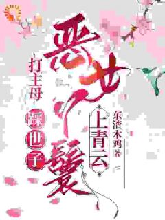 抖音打主母，踩世子，恶女丫鬟上青云txt小说阅读