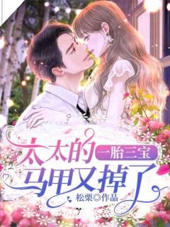 全本资源在线阅读一胎三宝：太太的马甲又掉了苏柒安墨亦汌