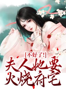 热门推荐不好了！夫人她要火烧府宅by萦灯小说正版在线
