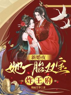 百度贴吧小说新婚夜：她一胎双宝炸王府，主角慕云澜楚寒霄全文免费