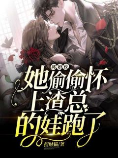 顾云熙秦司寒小说哪里可以看 小说离婚夜，她偷偷怀上渣总的娃跑了全文免费阅读-暗夜阅读网