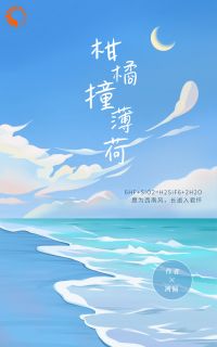 柑橘撞薄荷小说免费版阅读抖音热文