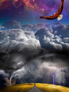 穿书后我和闺蜜一起崛起小说最新章节-主角鸢曦凤柠全文免费阅读