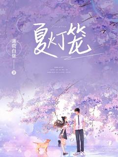 夏灯笼夏灯裴叙无广告在线阅读-暗夜阅读网