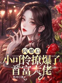 闪婚后，小可怜撩爆了首富大佬完整版-沈知薇燕澈在线全文阅读