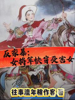 反家暴：女将军快穿受害女by往事流年稍作客小说完结版在线阅读-暗夜阅读网
