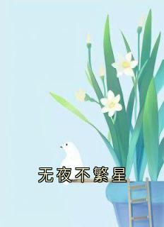 无夜不繁星小说顾凌旭苏禾岁最新章节阅读-暗夜阅读网
