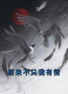 原来不只我有情知乎小说最新章节阅读