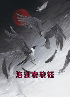 抖音热推小说洛迎夜玦钰全文在线阅读