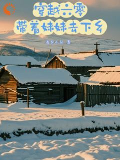 何雨柱地狱式开局？激活农场系统！免费小说作者追忆小白全文阅读