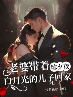 抖音爆款除夕夜，老婆带着白月光的儿子回家完整小说（全文阅读）