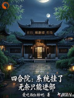 完整版四合院：系统挂了，无奈只能进部阎解成阎阜贵小说免费在线阅读