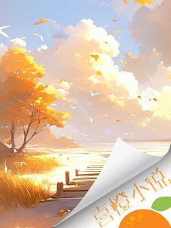 抖音大梦一场空小说章节阅读