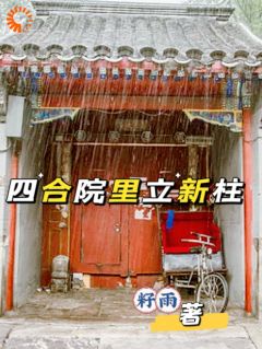 【新书】四合院里立新柱主角何瑜柱易中海全文全章节小说阅读