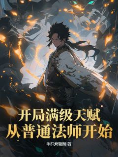 精选好书开局满级天赋,从普通法师开始无删减版全文在线-暗夜阅读网