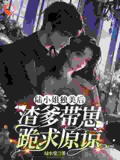 抖音爆款陆小姐独美后，渣爹带崽跪求原谅完整小说（全文阅读）-暗夜阅读网