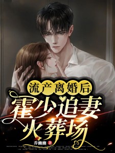 流产离婚后，霍少追妻火葬场无广告阅读 苏禾霍沉晞免费在线阅读