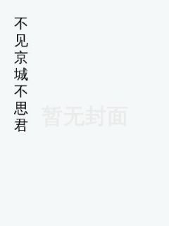 不见京城不思君无广告阅读 林霜晚傅修文免费在线阅读
