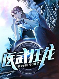 快手热推医武狂龙小说主角龙飞安慧在线阅读