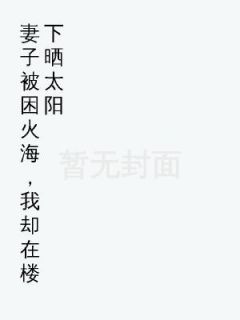 丁当写的小说妻子被困火海，我却在楼下晒太阳陈意赵青青全文阅读