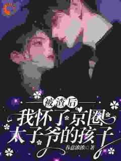 私藏读物被渣后，我怀了京圈太子爷的孩子沈星辰江停谢清如完结版免费阅读